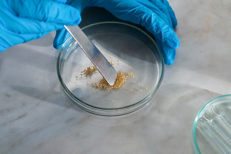 Gold alloy granules